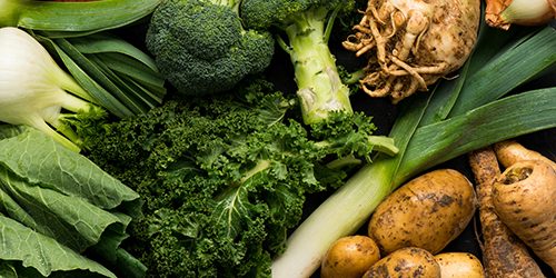 Fresh Vegetable Assortment Background