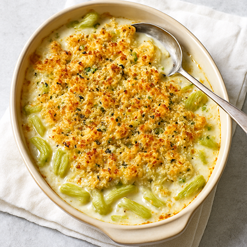 celery gratin 500