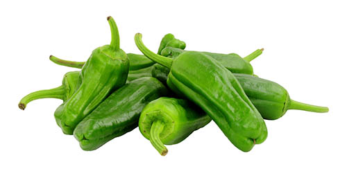 Group of fresh raw green Mediterranean padron peppers isolated o Group of fresh raw green Mediterranean padron peppers isolated o