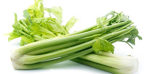 fresh celery isolated on white background