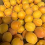 What’s in season this May