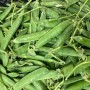 Produce Supply Update July 2026